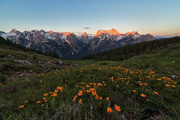 Maraia Fork, Cadini di Misurina, Dolomites, Auronzo di Cadore, Belluno, Veneto, Italy.