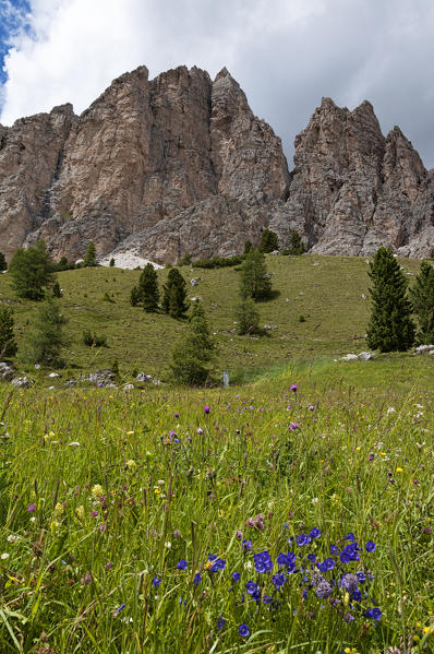 Cir group, Gardena Pass, South Tyrol, Dolomites, Bolzano, Italy.