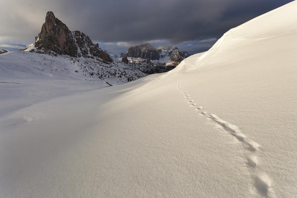 Giau Pass, Dolomites, San Vito di Cadore, Belluno, Italy.