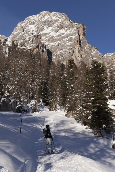 Cadini di Misurina, Dolomites, Auronzo, Belluno, Cadore, Italy.