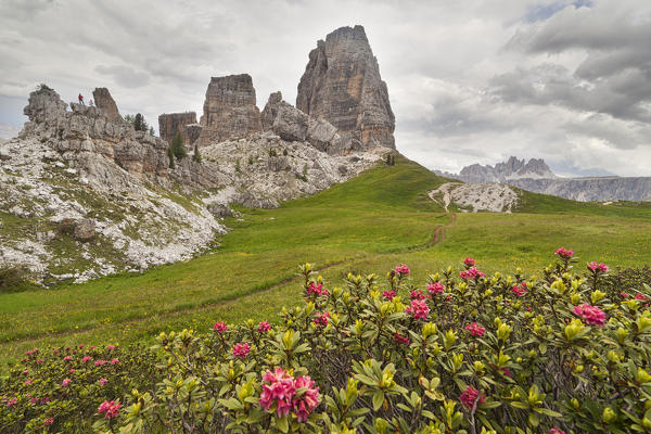 Cinque Torri, Ampezzo Dolomites, Cortina d'Ampezzo, Belluno, Veneto, Italy.