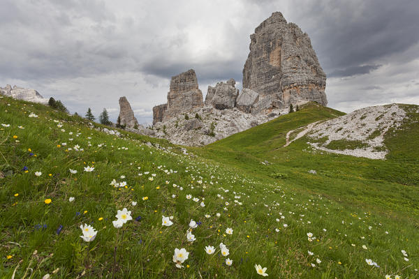 Cinque Torri, Ampezzo Dolomites, Cortina d'Ampezzo, Belluno, Veneto, Italy.