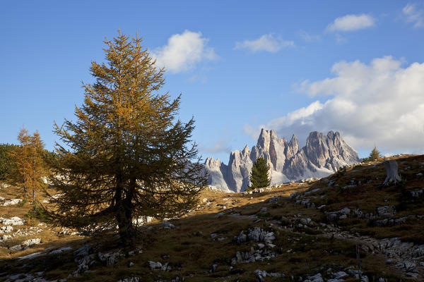 Croda da Lago, Ampezzo Dolomites, Cortina d'Ampezzo, Belluno, Veneto, Italy.