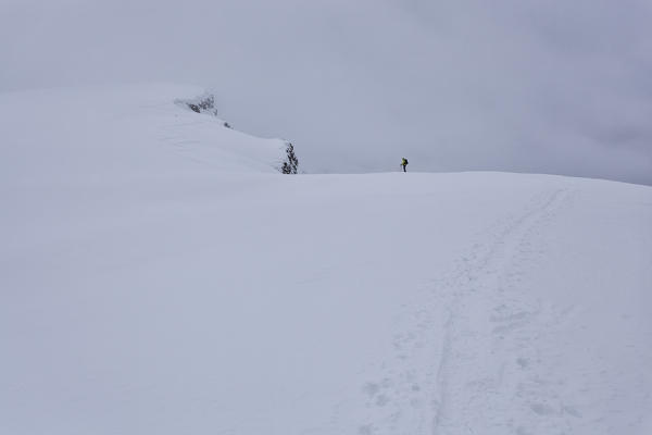 Cernera Mount, Dolomites, San Vito di Cadore, Belluno, Veneto, Italy.