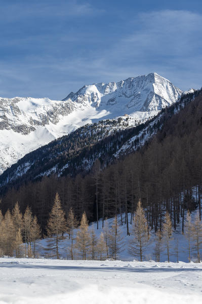 Rein in Taufers, Campo Tures / Sand in Tauers, Bolzano district, South Tyrol, Italy, Europe. The Mount Hochgall and the refuge Kasseler Hütte in the Rieserferner group