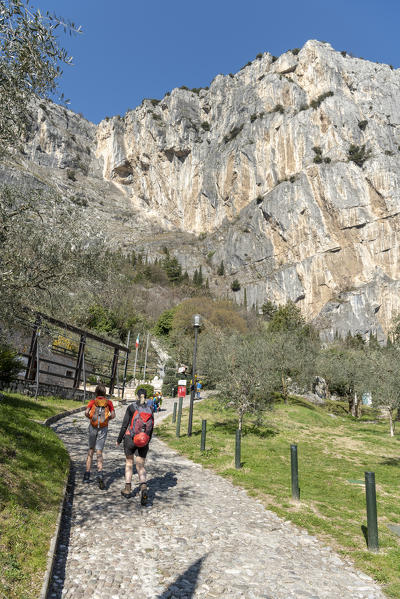 Arco, Trento province, Trentino, Italy, Europe, Hiker on the Mount Colodri