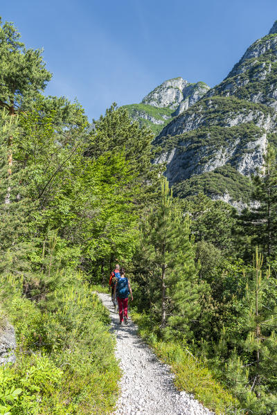 Pregasina, Riva del Garda, Lake Garda, Trento province, Trentino Alto Adige, Italy, Europe. Hiker on a path near Pregasina