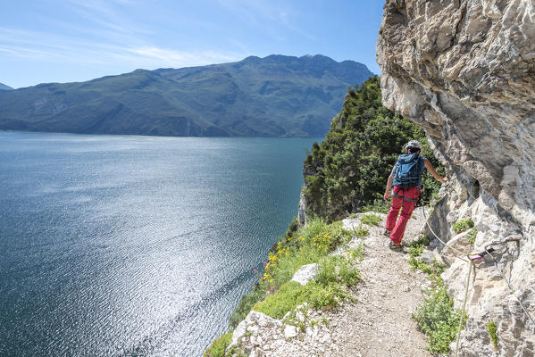 Pregasina, Riva del Garda, Lake Garda, Trento province, Trentino Alto Adige, Italy, Europe. Climbers on the 