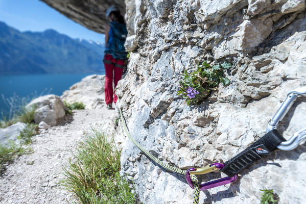 Pregasina, Riva del Garda, Lake Garda, Trento province, Trentino Alto Adige, Italy, Europe. Climbers on the 