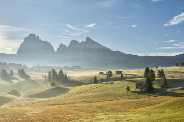 Alpe di Siusi/Seiser Alm, Dolomites, South Tyrol, Italy. 