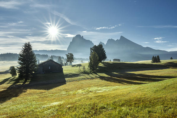 Alpe di Siusi/Seiser Alm, Dolomites, South Tyrol, Italy.