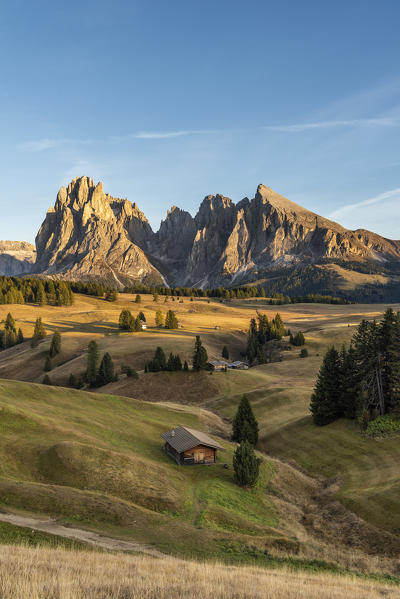 Alpe di Siusi/Seiser Alm, Dolomites, South Tyrol, Italy. Sunset on the Alpe di Siusi/Seiser Alm with the peaks of Sassolungo and Sassopiatto