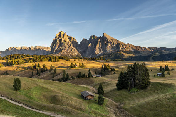 Alpe di Siusi/Seiser Alm, Dolomites, South Tyrol, Italy. Sunset on the Alpe di Siusi/Seiser Alm with the peaks of Sassolungo and Sassopiatto