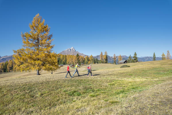 Alta Badia, Bolzano province, South Tyrol, Italy, Europe. Autumn on the Armentara meadows, above the mountains of the Sas de Putia