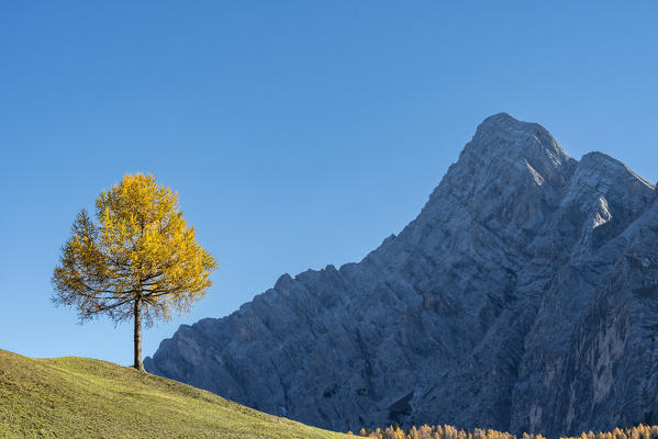 Alta Badia, Bolzano province, South Tyrol, Italy, Europe. Autumn on the Armentara meadows, above the moantain of the Neuner