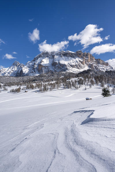 Alta Badia, Bolzano province, South Tyrol, Italy, Europe. Winter on the Armentara meadows, above the mountains of the Neuner, Zehner and Heiligkreuzkofel