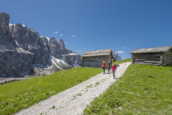 Passo Gardena, Dolomites, South Tyrol, Italy. Hikers on a hiking trail above the Gardena Pass