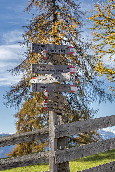 San Genesio / Jenesien, province of Bolzano, South Tyrol, Italy.  Autumn on the Salto, europe’s highest larch tree high plateau.