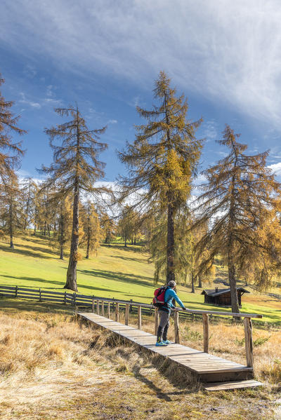 San Genesio / Jenesien, province of Bolzano, South Tyrol, Italy.  Autumn on the Salto, europe’s highest larch tree high plateau.