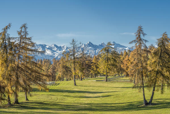 San Genesio / Jenesien, province of Bolzano, South Tyrol, Italy.  Autumn on the Salto, europe’s highest larch tree high plateau.