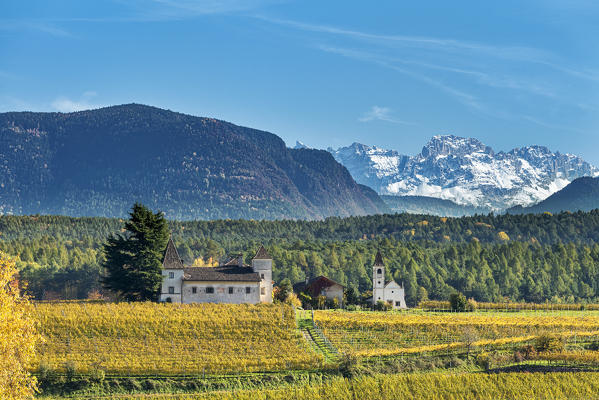 Eppan / Appiano, province of Bolzano, South Tyrol, Italy. The Kreithof winery with the Latemar mountains in the background