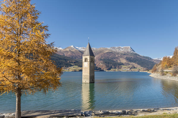 Curon/Graun, province of Bolzano, Venosta Valley, South Tyrol, Italy. The bell tower in Reschen lake