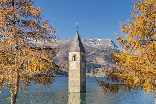 Curon/Graun, province of Bolzano, Venosta Valley, South Tyrol, Italy. The bell tower in Reschen lake