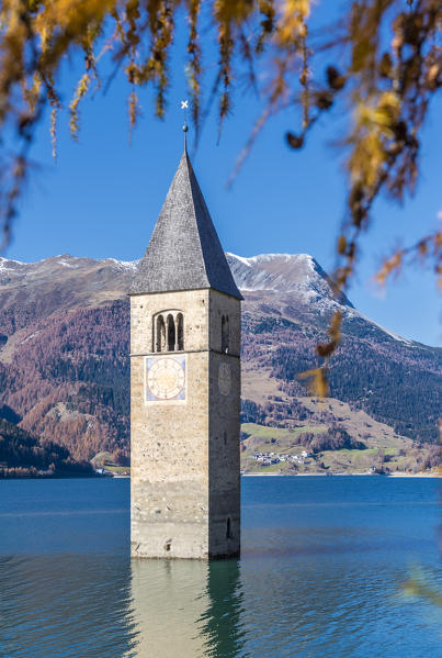 Curon/Graun, province of Bolzano, Venosta Valley, South Tyrol, Italy. The bell tower in Reschen lake