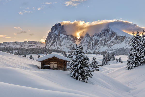 Alpe di Siusi/Seiser Alm, Dolomites, South Tyrol, Italy. Sunrise on the Alpe di Siusi / Seiser Alm with the peaks of Sassolungo / Langkofel and Sassopiatto / Plattkofel