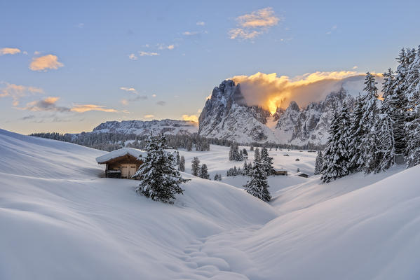 Alpe di Siusi/Seiser Alm, Dolomites, South Tyrol, Italy. Sunrise on the Alpe di Siusi / Seiser Alm with the peaks of Sassolungo / Langkofel and Sassopiatto / Plattkofel