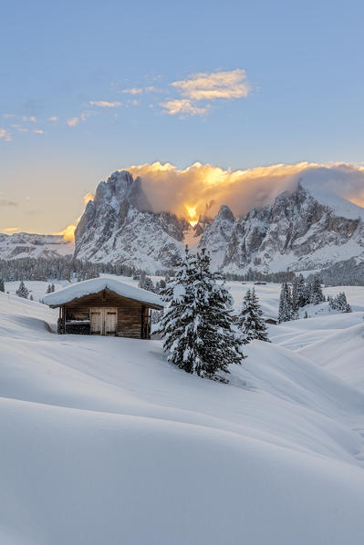 Alpe di Siusi/Seiser Alm, Dolomites, South Tyrol, Italy. Sunrise on the Alpe di Siusi / Seiser Alm with the peaks of Sassolungo / Langkofel and Sassopiatto / Plattkofel