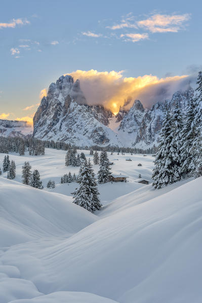 Alpe di Siusi/Seiser Alm, Dolomites, South Tyrol, Italy. Sunrise on the Alpe di Siusi / Seiser Alm with the peaks of Sassolungo / Langkofel and Sassopiatto / Plattkofel