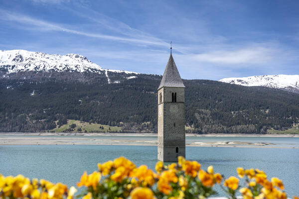 Curon/Graun, province of Bolzano, Venosta Valley, South Tyrol, Italy. The bell tower in Reschen lake