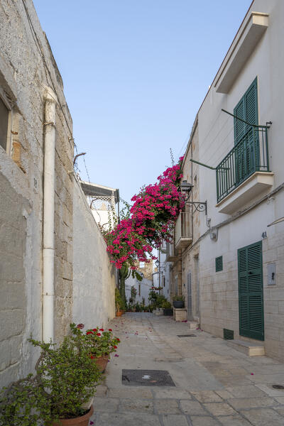 Polignano a Mare, bari, Apulia, Italy. In the historic old town of Polignano a Mare