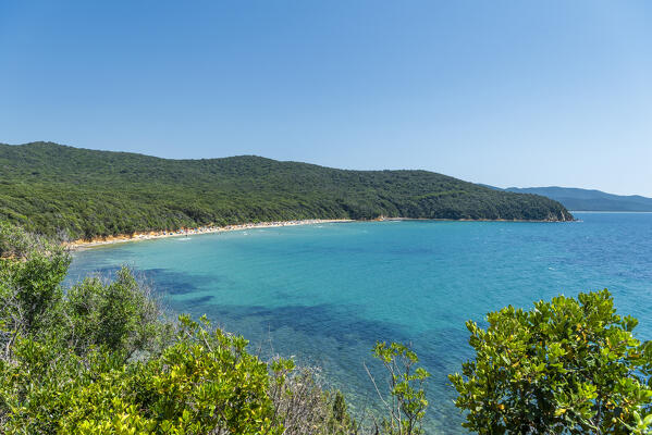 Scarlino, Grosseto province, Tuscany, Italy, Europe. The Cala Violina beach