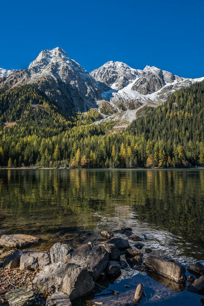 Anterselva/Antholz, South Tyrol, Italy. Autumn at the Lake of Anterselva/Antholzer See. In the background the Collalto/Hochgall