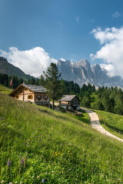 Funes Valley, Dolomites, South Tyrol, Italy. The Kaserillalm/Malga Caseril. In the background the peaks of the Odle