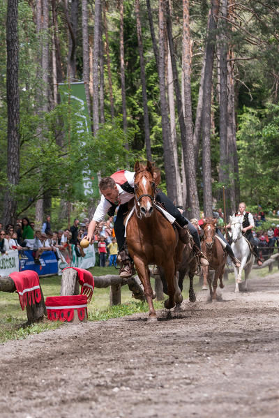 Fie, South Tyrol, Italy. The third tournament at Lake Fiè is the gallop. The wooden ball must be put into the basket