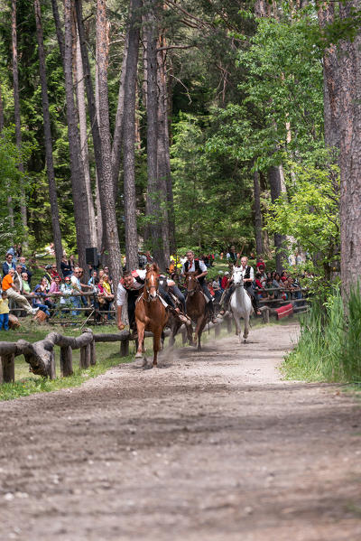 Fie, South Tyrol, Italy. Concentrated rider at the third tournament