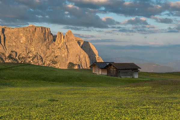 Alpe di Siusi/Seiser Alm, Dolomites, South Tyrol, Italy. Sunrise on plateau of Bullaccia/Puflatsch. In the background the peaks of Sciliar