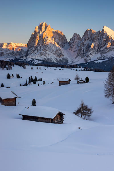 Alpe di Siusi/Seiser Alm, Dolomites, South Tyrol, Italy. Sunset on the Alpe di Siusi/Seiser Alm. In the background the peaks of Sella, Sassolungo/Langkofel and Sassopiatto/Plattkofel