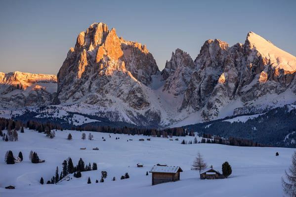 Alpe di Siusi/Seiser Alm, Dolomites, South Tyrol, Italy. Sunset on the Alpe di Siusi/Seiser Alm. In the background the peaks of Sassolungo/Langkofel and Sassopiatto/Plattkofel