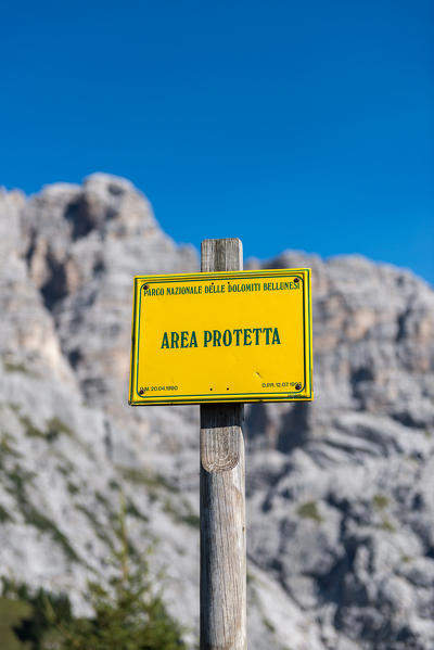 Cimonega, Dolomites, Veneto, Italy. The wall of Sass de Mur