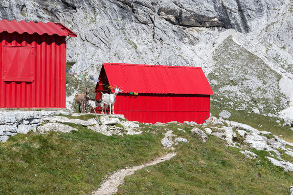 Cimonega, Dolomites, Veneto, Italy. The bivouacs Feltre and Bodo