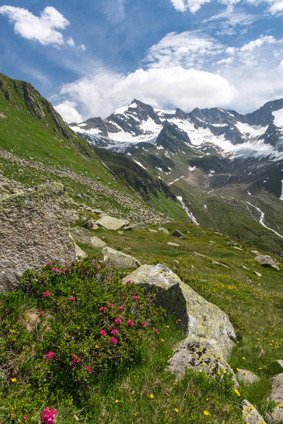 Aurina Valley, South Tyrol, Italy. The Dreiherrnspitze/Picco dei Tre Signori (3499m)