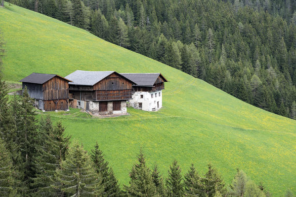 Funes Valley, Dolomites, South Tyrol, Italy. Abandoned farm 