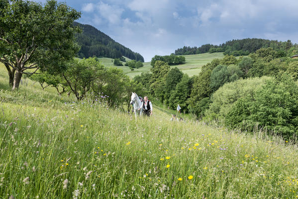 Castelrotto, South Tyrol, Italy. Participants of the Oswald von Wolkenstein Ride on the climb to Castelrotto