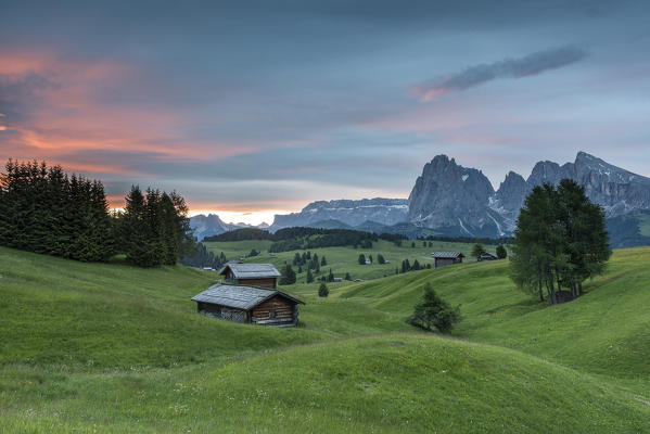 Alpe di Siusi/Seiser Alm, Dolomites, South Tyrol, Italy. Sunrise on the pastures of Alpe di Siusi/Seiser Alm. In the Background the peaks Sella, Sassolungo/Langkofel and Sassopiatto/Plattkofel