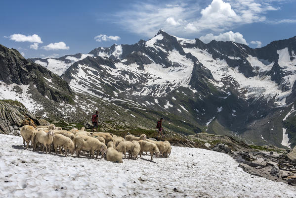 Aurina Valley, South Tyrol, Italy. Mountaineers in the rear Aurina Valley/Ahrntal. In the background the Picco dei Tre Signori/Dreiherrenspitze