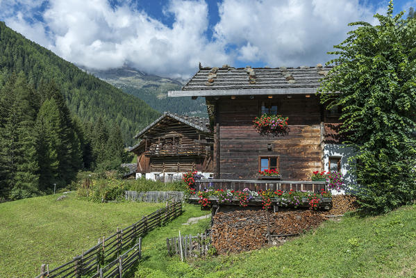 Val d'Ultimo/Ulten valley, South Tyrol, Italy. Typical old farmhouses